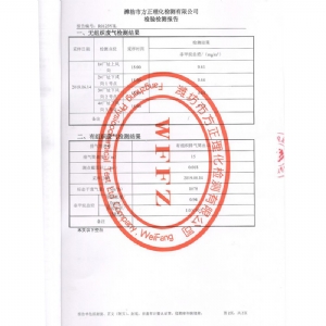 济宁金汉斯环保材料有限公司2019年6月检测报告