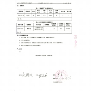 检验报告（2020.03.31）