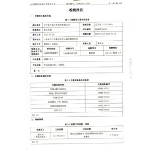 检验报告（2020.03.31）