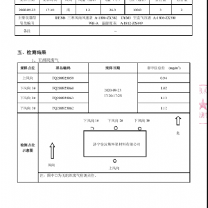 检测报告（2020.10.14）