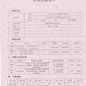 废气检验检测报告（2022.10）