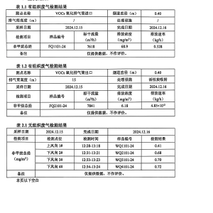 检测报告（2024.12.31）